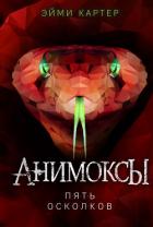 Книга Пять Осколков