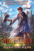 Книга Тайный паладин 2. Подмастерье ордена