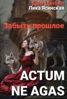 Книга Actum ne agas. Забыть прошлое (СИ)