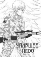 Книга Упавшее небо (СИ)