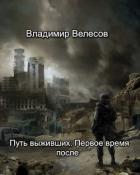 Книга Путь выживших: Первое время после (СИ)