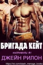 Книга Бригада Кейт (ЛП)