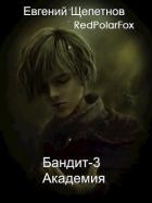 Книга Академия (СИ)