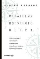Книга Стратегия попутного ветра. Как обнаружить или создать асимметрии, способные придать бизнесу ускорени
