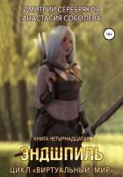 Книга Виртуальный мир 14. Эндшпиль