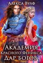 Книга Академия Красного Феникса. Дар богов (СИ)
