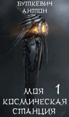 Книга Моя космическая станция (СИ)