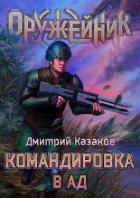 Книга Командировка в ад (СИ)