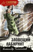 Книга Зловещий лабиринт