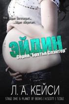 Книга Эйдин (ЛП)