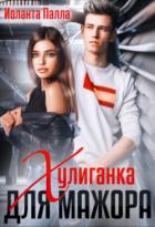 Книга Хулиганка для мажора (СИ)