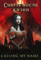Книга Смерть после жизни (СИ)