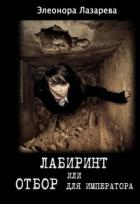 Книга Лабиринт или отбор для Императора (СИ)