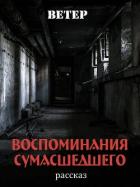 Книга Воспоминания сумасшедшего (СИ)