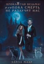 Книга Проклятая ведьма! или Пока смерть не разлучит нас (СИ)