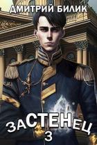 Книга Застенец 3 (СИ)