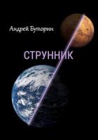 Книга Струнник (СИ)
