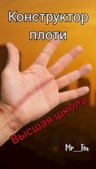 Книга Высшая школа (СИ)