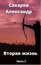 Книга Вторая жизнь - книга вторая (СИ)