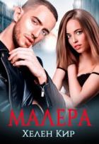 Книга Малера (СИ)