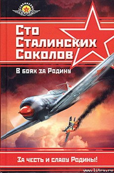 Книга Сто сталинских соколов. В боях за Родину