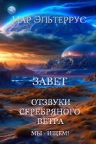 Книга Мы - ищем! Завет (СИ)