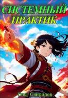 Книга Системный практик (СИ)