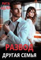 Книга Развод. Другая семья (СИ)