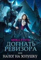 Книга Догнать ревизора, или налог на Золушку (СИ)