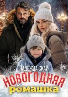Книга Новогодняя ромашка