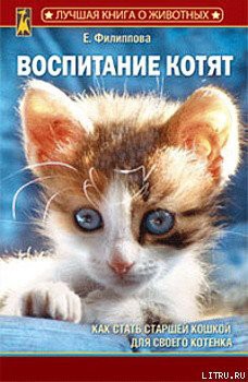 Книга Воспитание котят