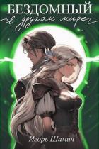 Книга Бездомный в другом мире (СИ)