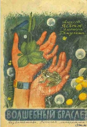 Книга Волшебный браслет