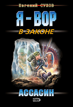 Книга Ассасин