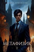 Книга Метафизик 1 (СИ)