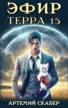 Книга Эфир. Терра 13 (СИ)