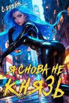 Книга Я снова не князь! Книга XVII (СИ)