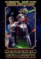 Книга Небесный странник (СИ)