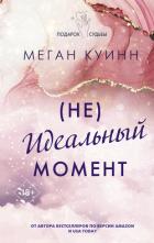 Книга (Не)идеальный момент