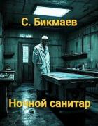 Книга Ночной санитар (СИ)