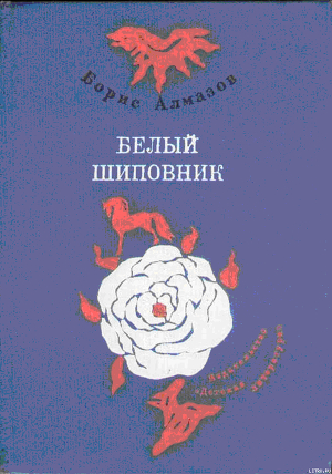Книга Самый красивый конь (с иллюстрациями)
