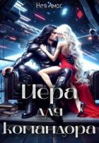 Книга Йера для командора (СИ)