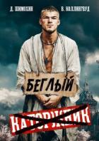 Книга Беглый (СИ)