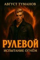 Книга Испытание огнем (СИ)