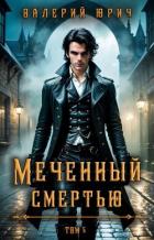 Книга Меченный смертью. Том 5 (СИ)