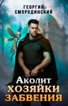 Книга Аколит Хозяйки Забвения (СИ)