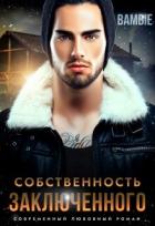 Книга Собственность заключенного (СИ)