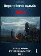 Книга Перекресток судьбы 2. Маг. Книга первая (СИ)