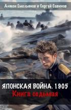 Книга Японская война 1905. Книга седьмая (СИ)