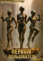 Книга Первый пользователь. Книга 14 (СИ)
